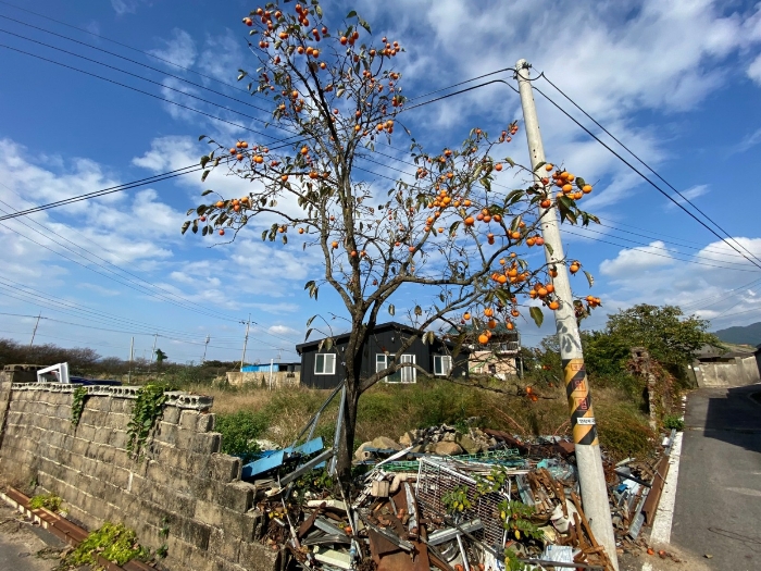 경매 물건 상세 사진