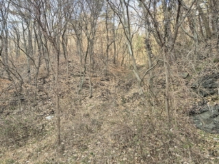 경매 물건 사진