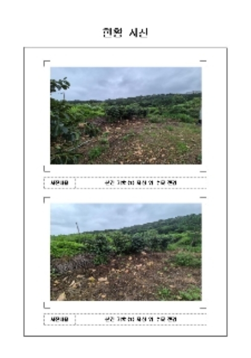 경매 물건 사진
