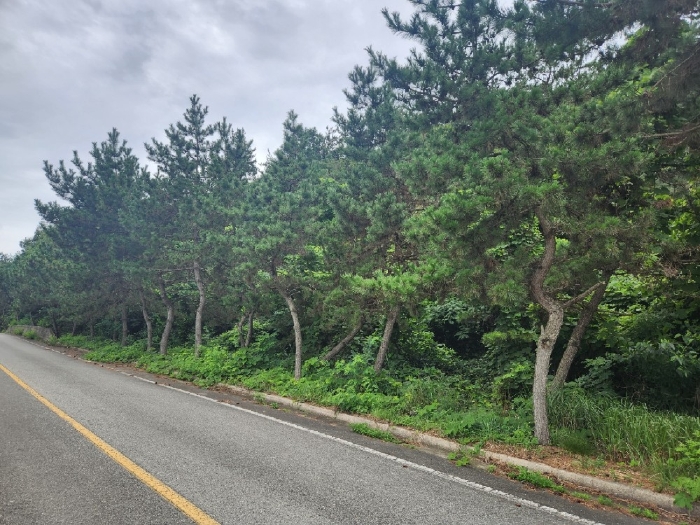 경매 물건 상세 사진