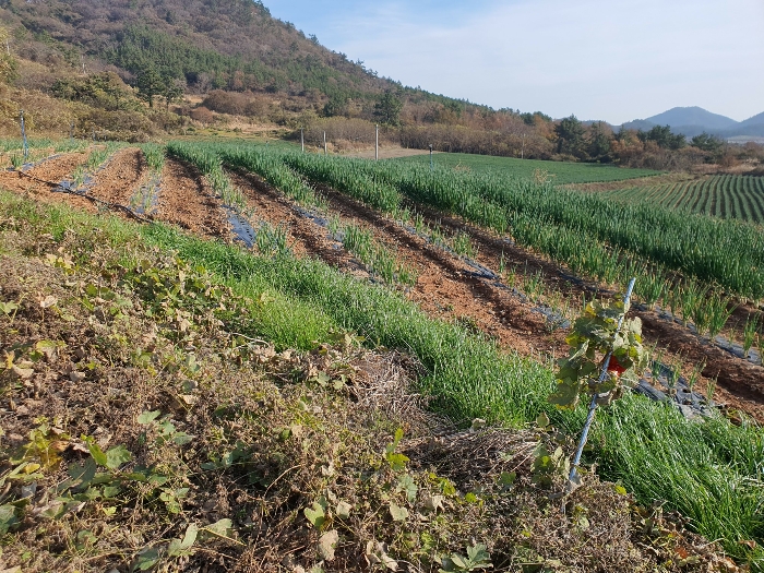 경매 물건 상세 사진