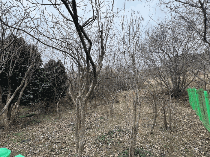 경매 물건 상세 사진