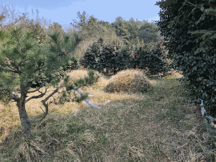 경매 물건 상세 사진