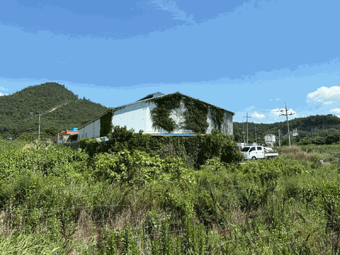경매 물건 상세 사진
