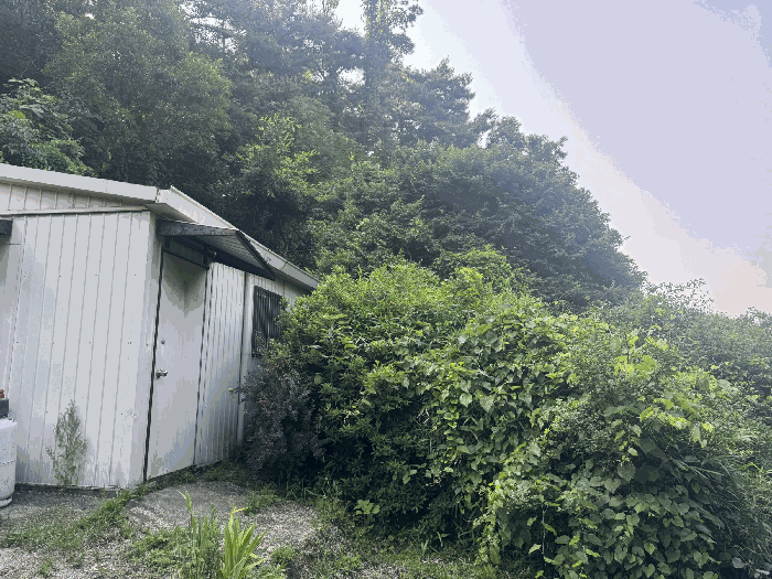 경매 물건 상세 사진