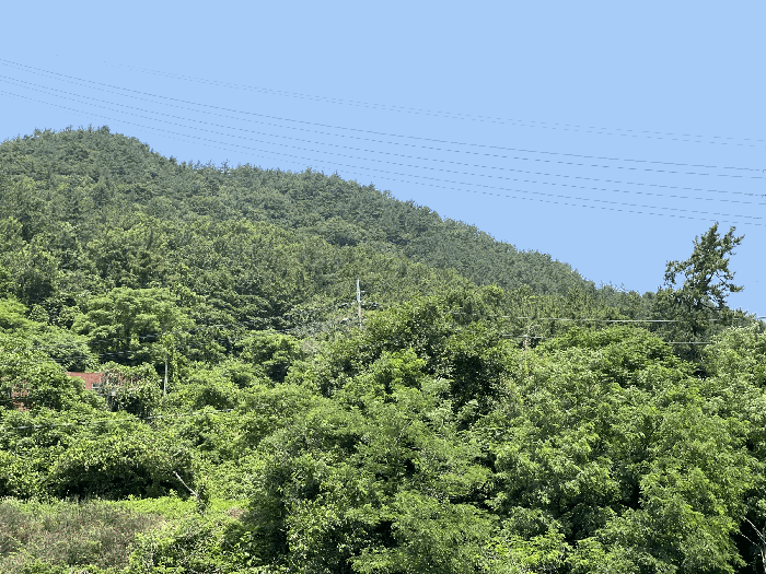 경매 물건 상세 사진