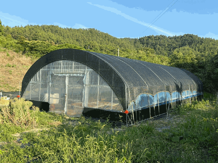 경매 물건 상세 사진