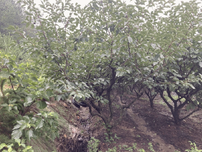 경매 물건 상세 사진
