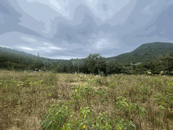 경매 물건 상세 사진