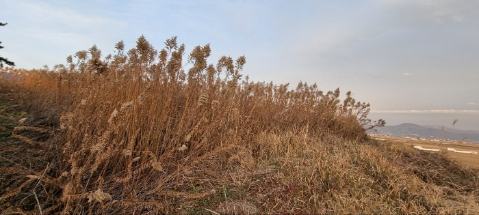 경매 물건 상세 사진