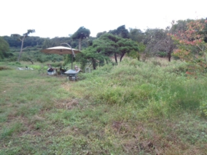 삼천동 부동산 경매…