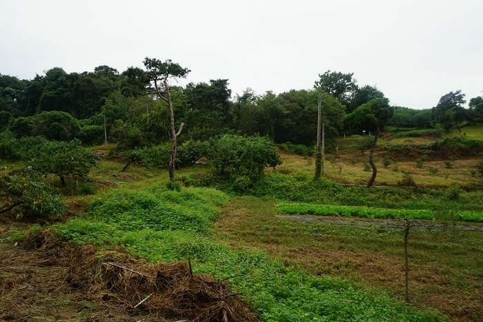 경매 물건 상세 사진