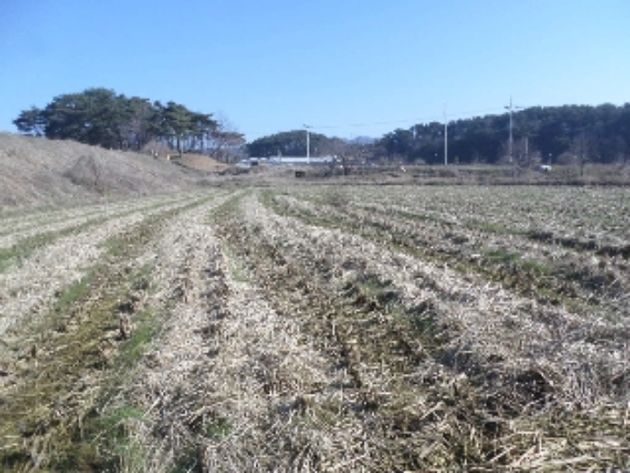 경매 물건 사진