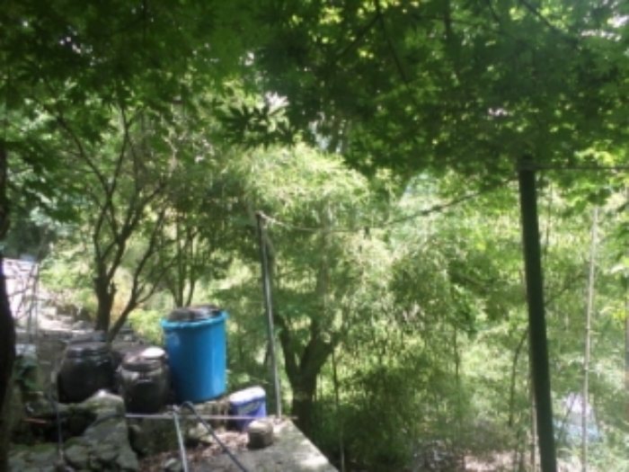 완주 용암리 토지 …