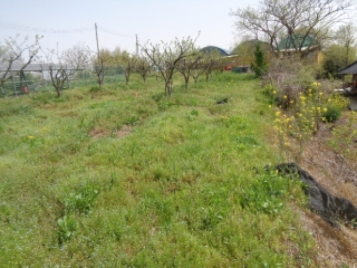 김제 성덕면 토지 …