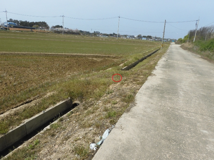 경매 물건 상세 사진