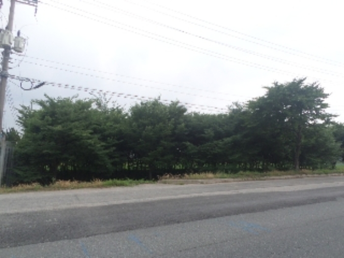 완주 이문리 토지 …