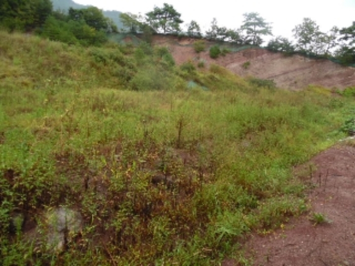 경매 물건 상세 사진