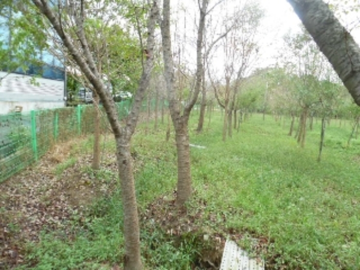 경매 물건 사진