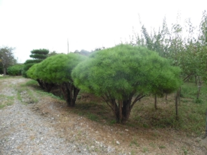 경매 물건 상세 사진