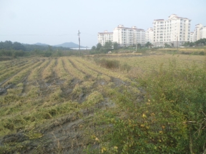 전주 중인동 토지 …