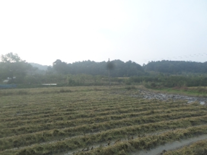 경매 물건 상세 사진