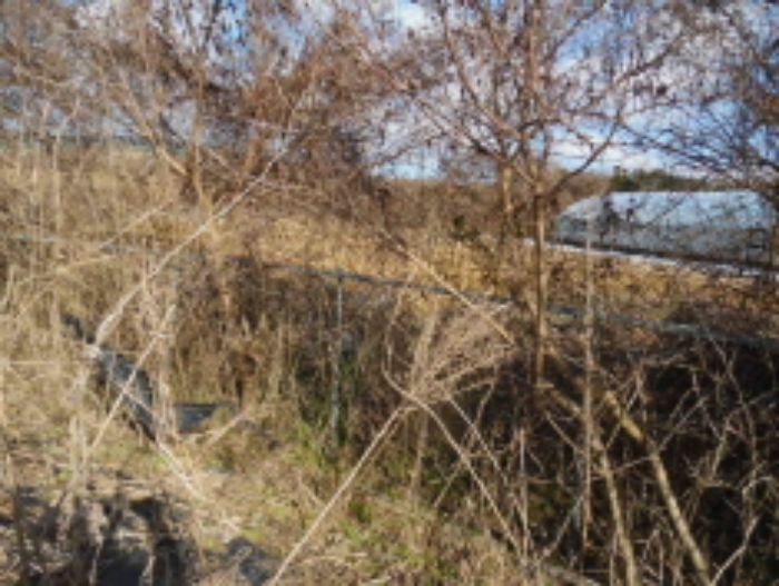 경매 물건 사진