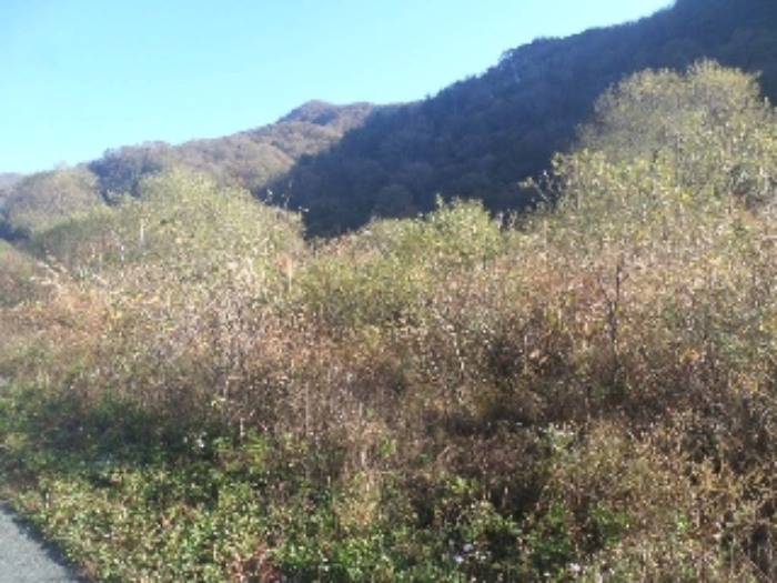 경매 물건 사진