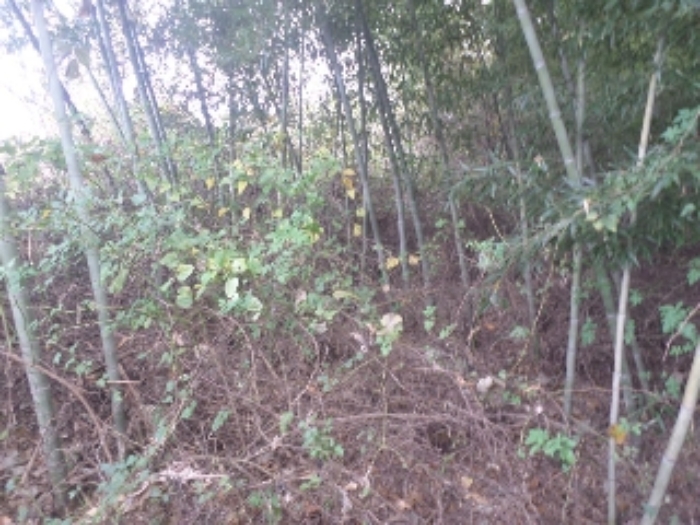 경매 물건 사진