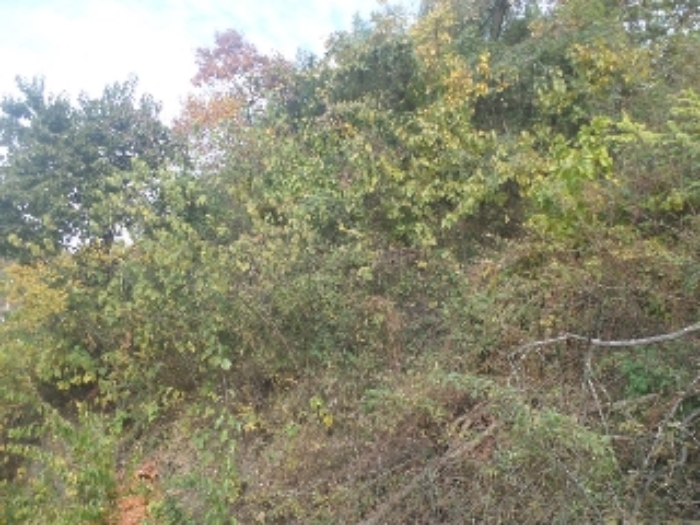 경매 물건 상세 사진