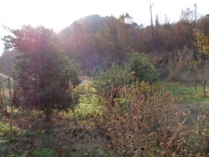 김제 용호리 토지 …