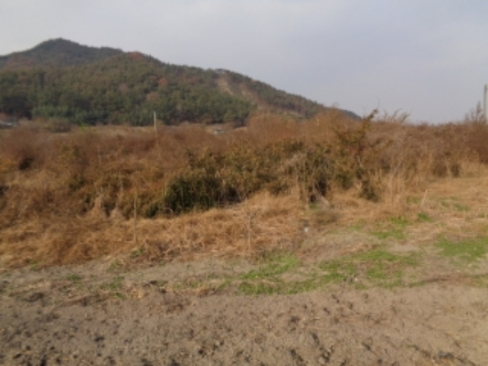 경매 물건 상세 사진