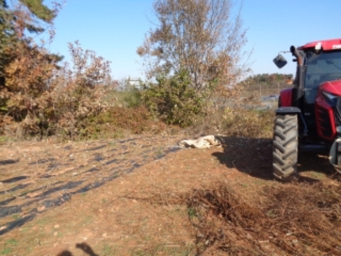 김제 공덕면 토지 …