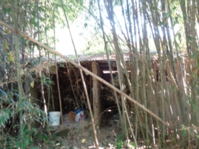 경매 물건 상세 사진