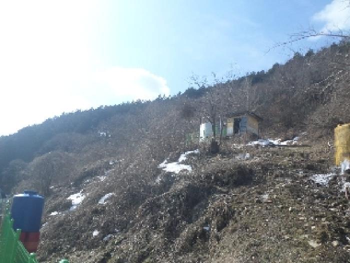 김제 순동 토지 경…