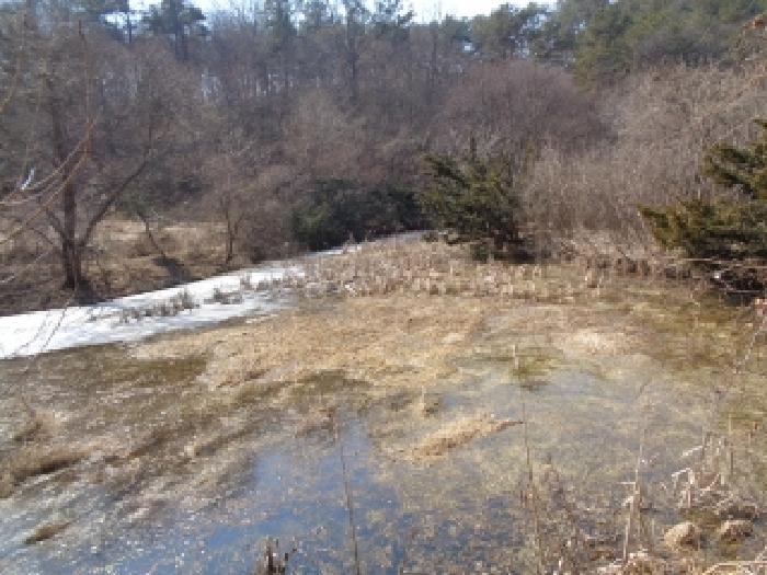 경매 물건 상세 사진