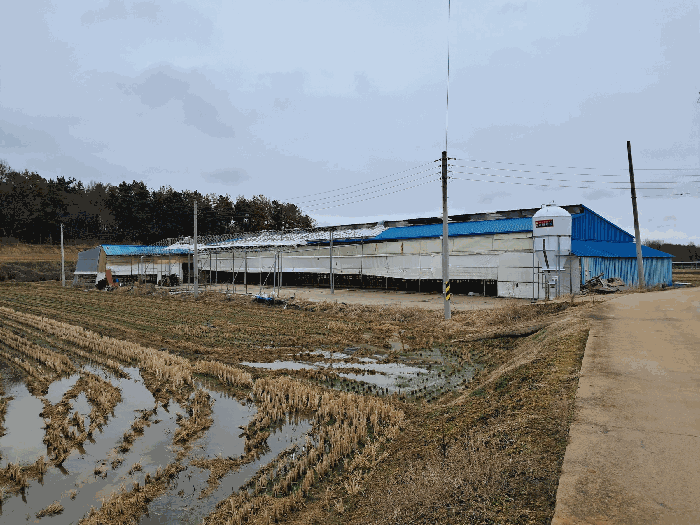 경매 물건 상세 사진