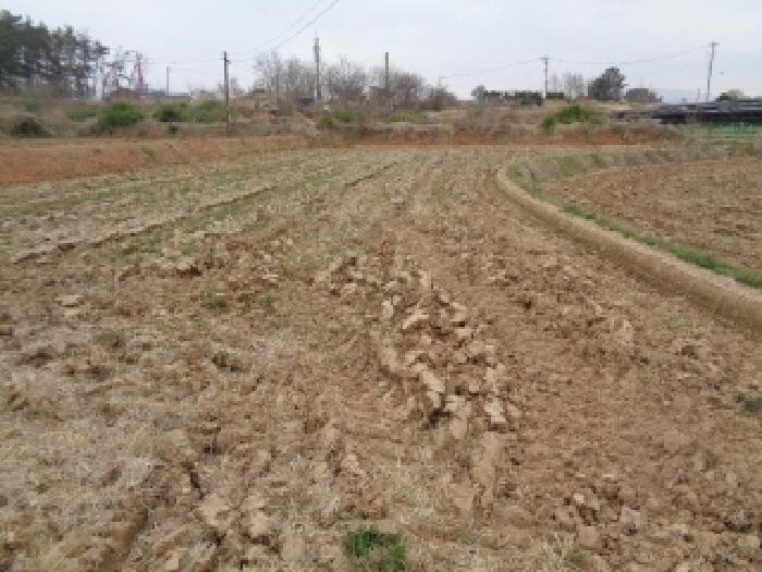 김제 봉남면 토지 …