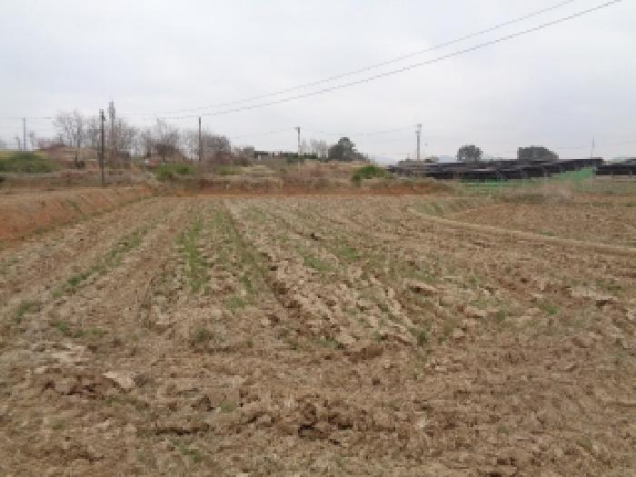 경매 물건 상세 사진