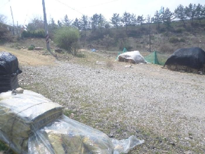 경매 물건 상세 사진