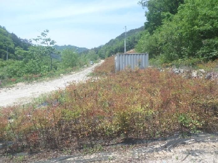 경매 물건 상세 사진