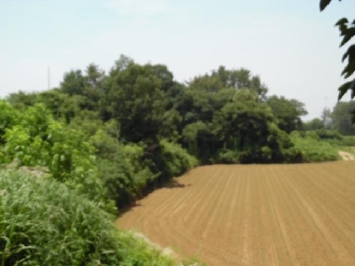 흥사동 토지 경매,…