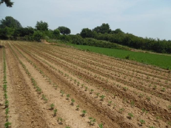 경매 물건 상세 사진