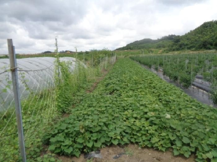 경매 물건 사진
