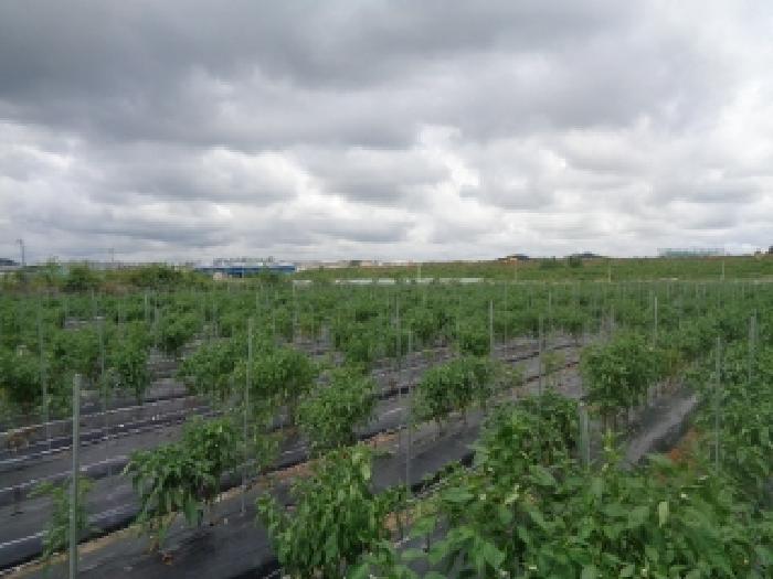 경매 물건 상세 사진