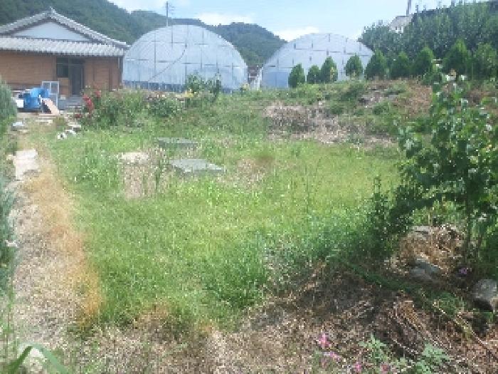 경매 물건 상세 사진