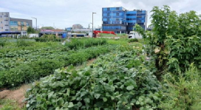 전주 만성동 토지 …