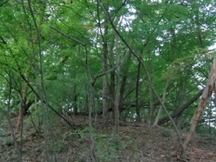 전주 서서학동 부동…