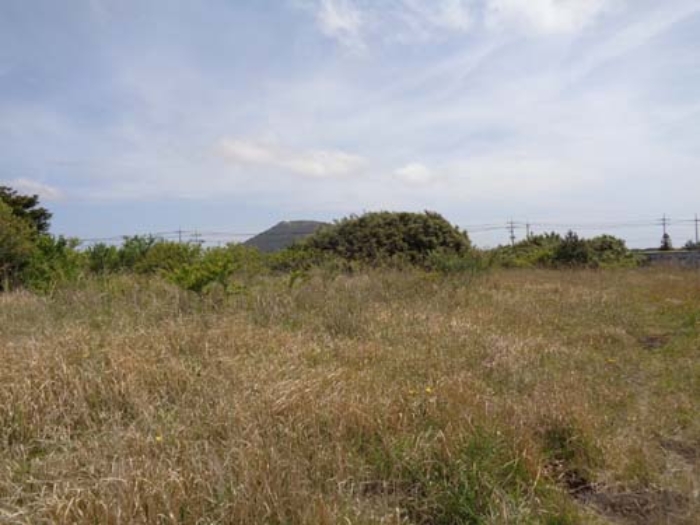 경매 물건 사진