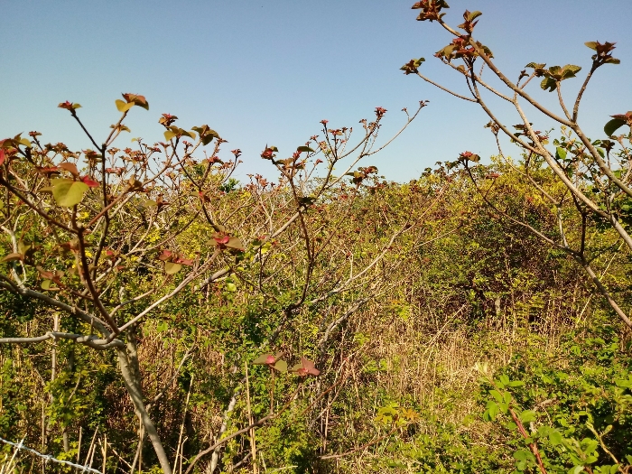 경매 물건 상세 사진